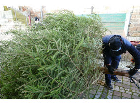 Es weihnachtet in St. Crescentius (Foto: Karl-Franz Thiede)